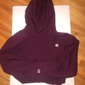 Champion Reversed Weave Cropped Hoodie